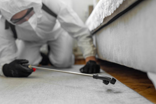 Professional Bed Bug Control technician working in Chesterfield, SC