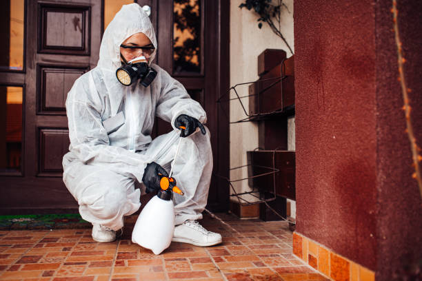 Reliable Bed Bug Control contractor in Chesterfield, SC by Nex Pest Control
